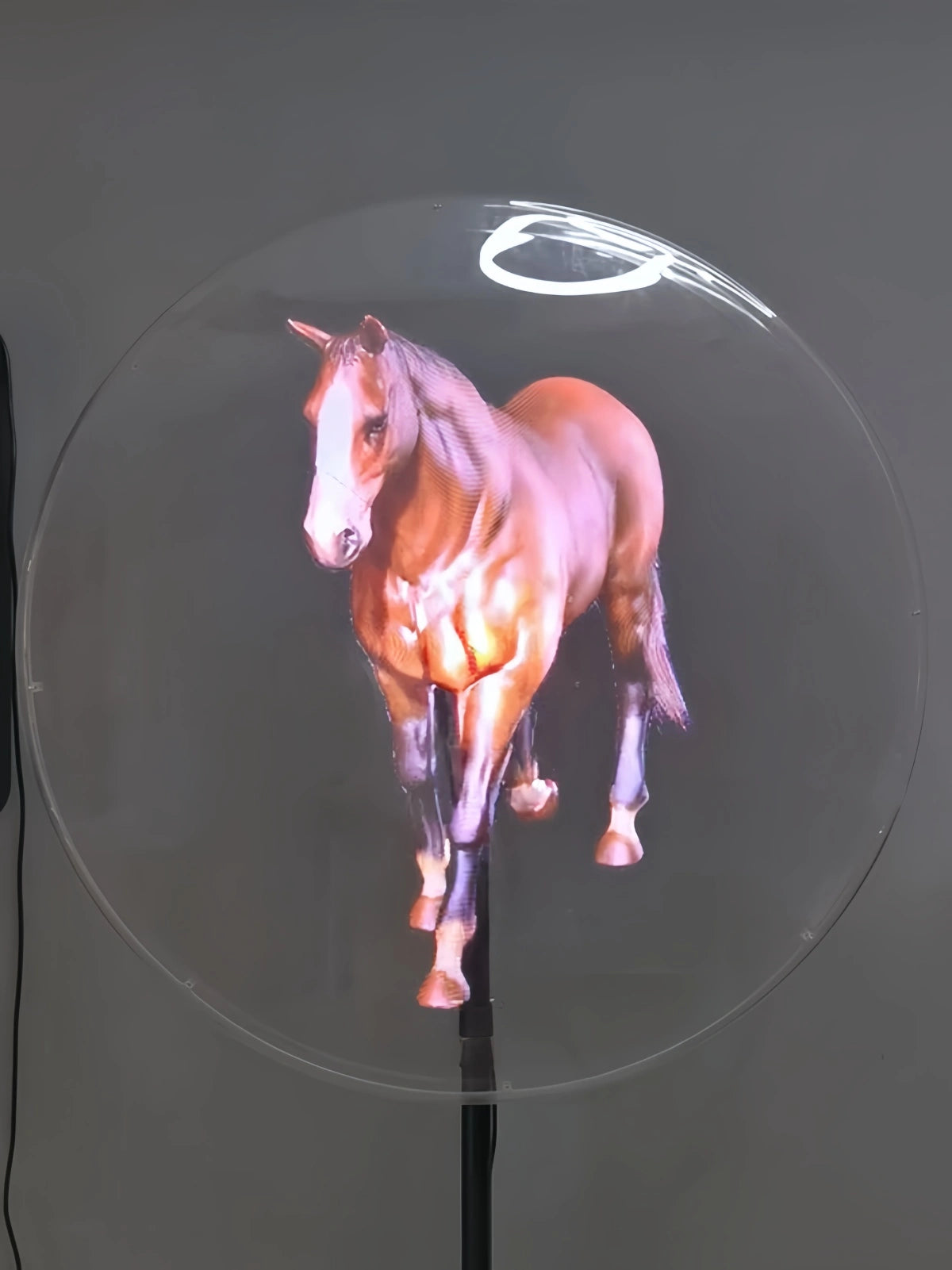 3D holographic display projecting a walking horse inside a transparent circular shield