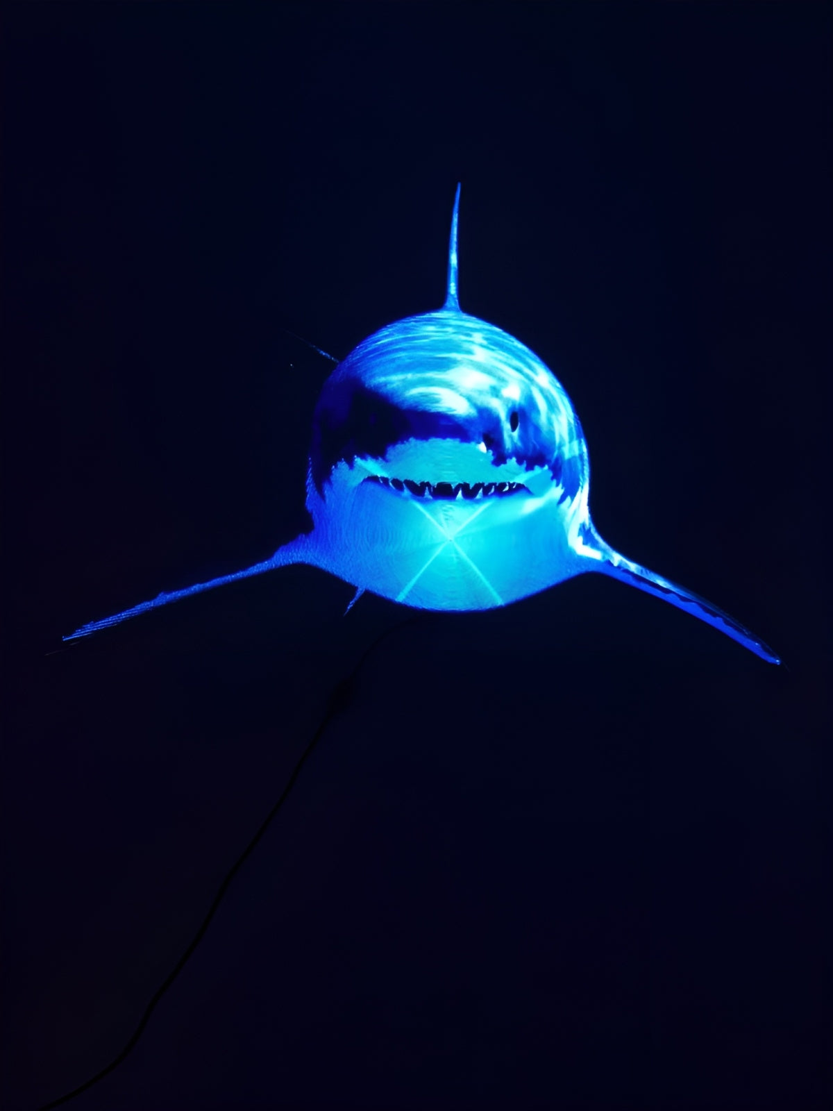 Blue holographic shark projection displayed against a dark background.
